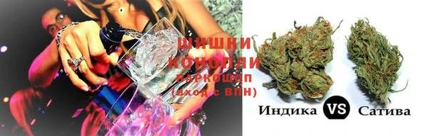 шишки Аркадак