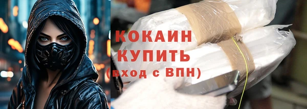 шишки Аркадак