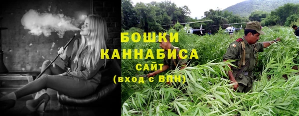 шишки Аркадак