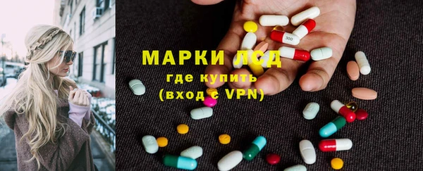шишки Аркадак