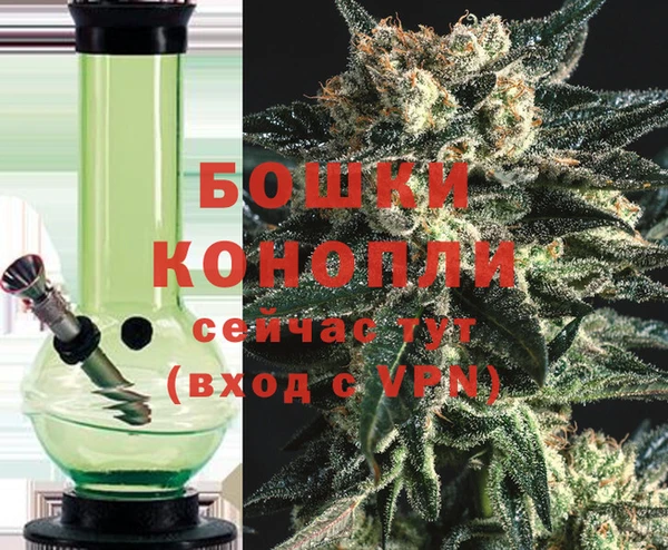 шишки Аркадак